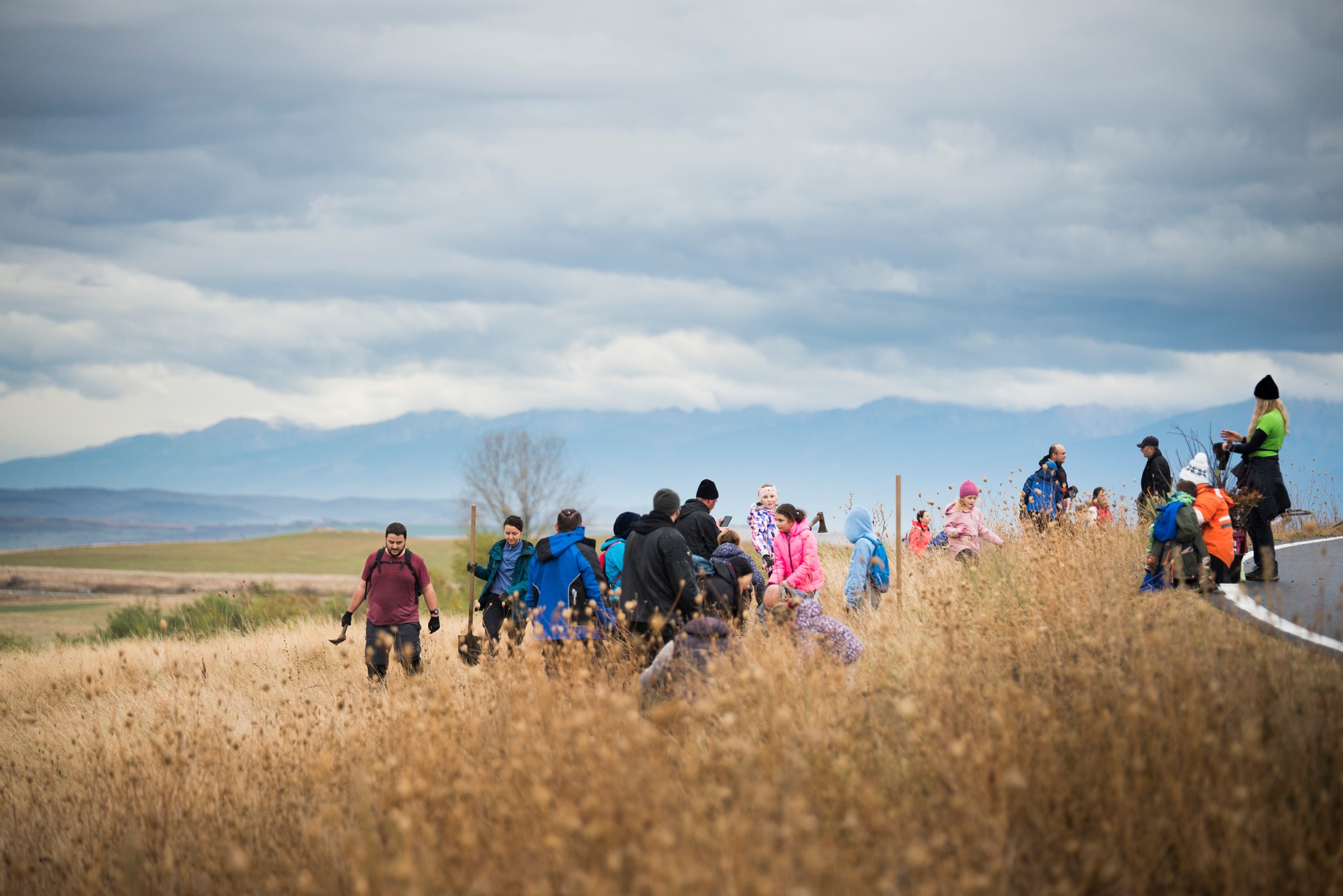 Plantare Ocna Preview 3